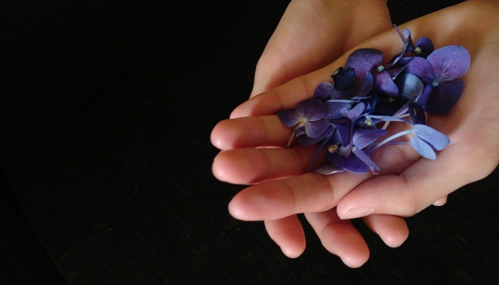 最新疫情回家文案:让您轻松应对变幻莫测的公共卫生挑战 最新疫情回家文案:让您轻松应对变幻莫测的公共卫生挑战