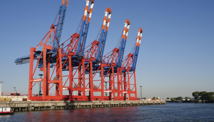 双阳最新一期疫情：掌握最新动态，共同应对未来挑战