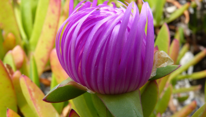 疫情等级最新动态：全面了解你所在地区的防疫措施