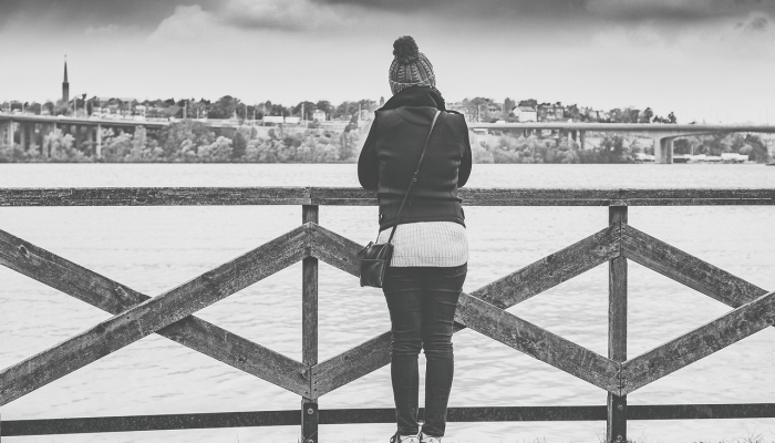 毛驴最新疫情消息：防控措施与未来展望