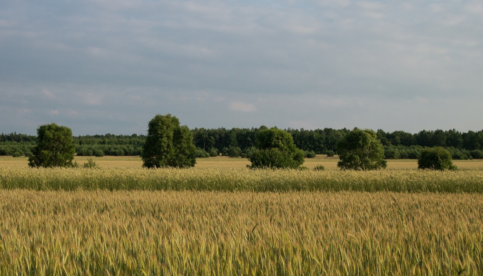 宝安最新的疫情:最新动态与防控措施 宝安最新的疫情:最新动态与防控措施