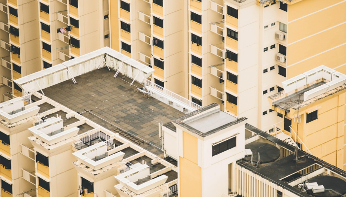 大良新冠疫情最新消息:社区关爱与科学防护并重 大良新冠疫情最新消息:社区关爱与科学防护并重