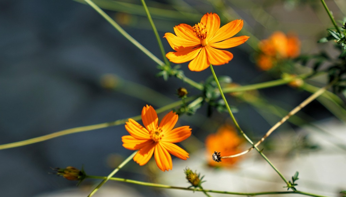 荣昌疫情图片最新：全面揭秘荣昌抗疫最新动态与心灵鸡汤