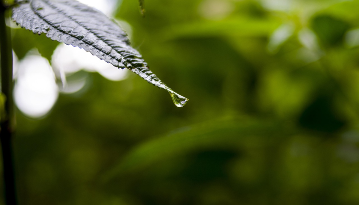 东莞现在疫情最新：了解最新动态与防护措施