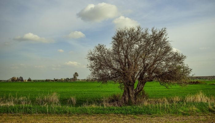 中山最新疫情公告