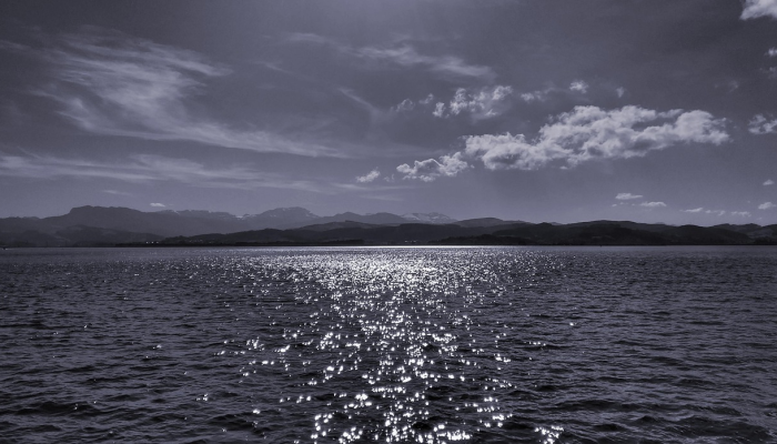 东莞疫情最新动态顺丰：为您提供最新、最全、最权威的疫情信息