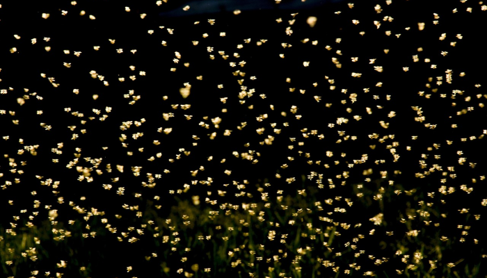 舟桥疫情最新动态：全面解读防疫进程与未来展望