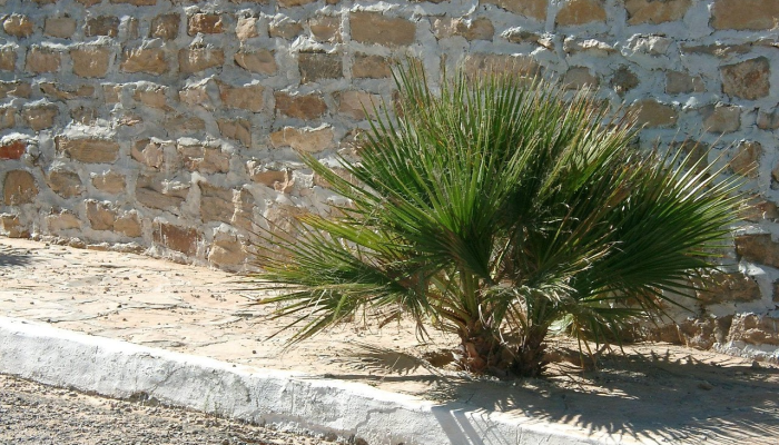 侯马现在最新疫情:保护自己,共同抗疫 侯马现在最新疫情:保护自己,共同抗疫