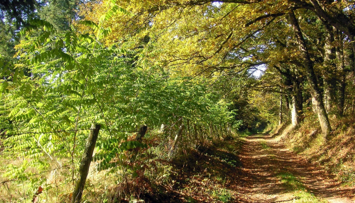 兰州最新疫情航班:安全出行指南与实时动态 兰州最新疫情航班:安全出行指南与实时动态