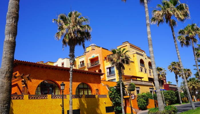 本月洛阳最新疫情：实时了解、全面防护