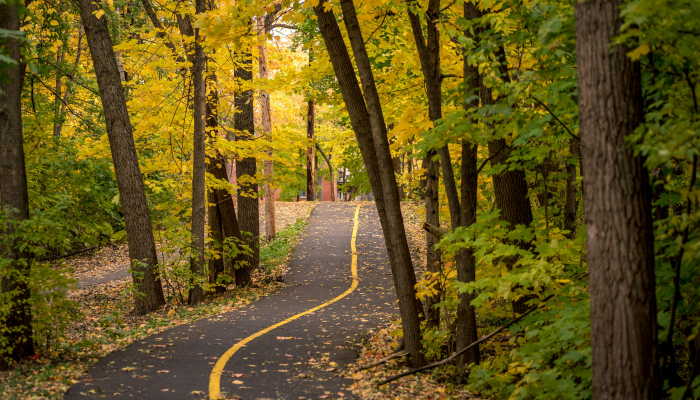昆明丹槿园最新疫情：你需要知道的一切